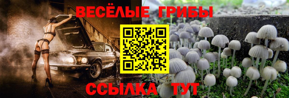 Элиста  Псилоцибиновые грибы мицелий  Вход с VPN  Псилоцибиновые грибы мухоморы 