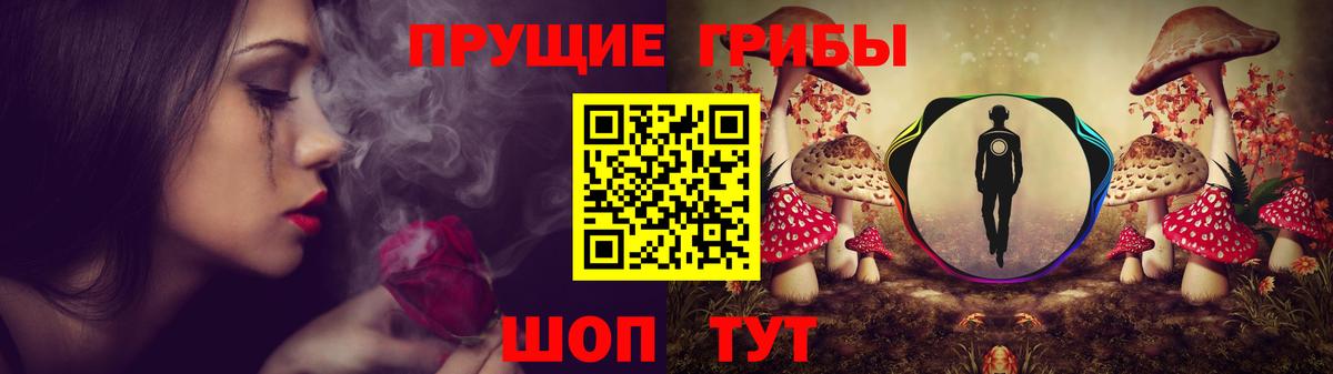 Галлюциногенные грибы GOLDEN TEACHER Элиста